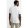 Vêtements Homme T-shirts & Polos Napapijri E-RHEMES NP0A4G2K-002 BRIGHT WHITE Blanc