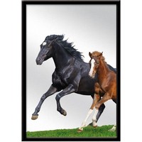 Maison & Déco Miroirs Sud Trading Miroir à suspendre cheval Noir