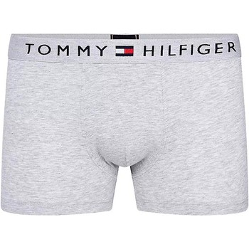 Vêtements Homme Pyjamas / Chemises de nuit Tommy Jeans CALZONCILLOS GRISES TRUNK TOMMY HILFIGER 01646 Gris