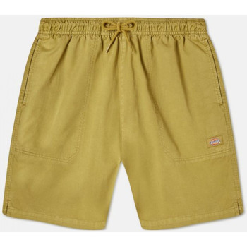Vêtements Homme Shorts / Bermudas Dickies Pelican rapids Vert