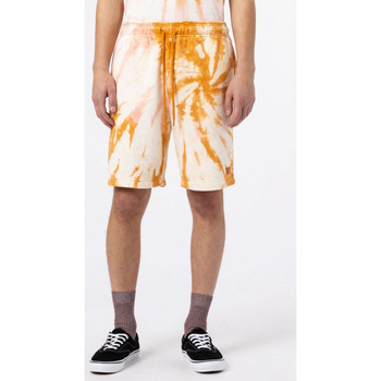 Vêtements Homme Shorts / Bermudas Dickies Seatac short Jaune
