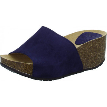 Chaussures Femme Sandales et Nu-pieds Scholl Sandales compensées enigan 2.0 Bleu