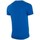 Vêtements Homme T-shirts manches courtes 4F TSM352 Bleu