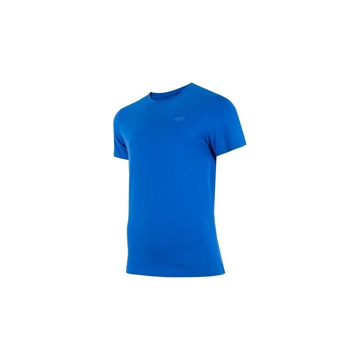 Vêtements Homme T-shirts manches courtes 4F TSM352 Bleu