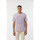 Vêtements Homme T-shirts & Polos Lee Cooper T-shirt ANOKO Mauve Violet