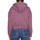 Vêtements Femme Sweats Dickies DK0A4XBOB651 Violet