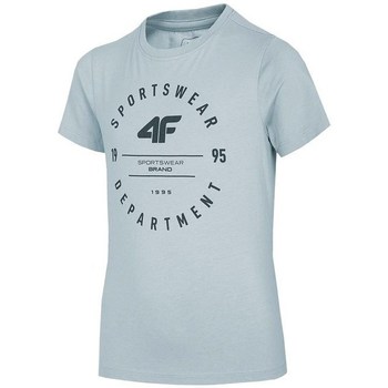 Vêtements Garçon T-shirts manches courtes 4F JTSM003 Gris