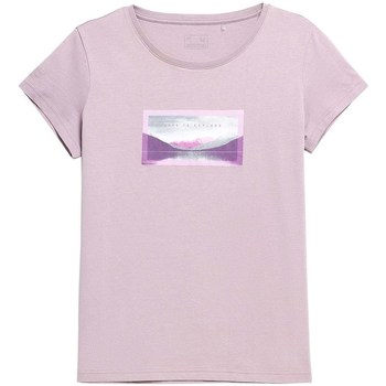 Vêtements Femme T-shirts manches courtes 4F TSD063 Rose