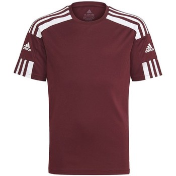 Vêtements Homme T-shirts manches courtes adidas Originals Squadra 21 Jersey Bordeaux