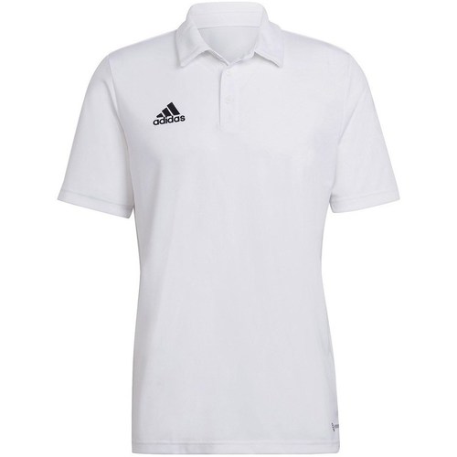 Vêtements Homme T-shirts manches courtes adidas Originals Entrada 22 Blanc