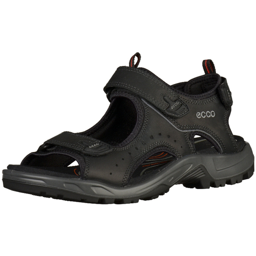 Chaussures Homme Sandales sport Licorice1 Ecco Sandales Noir