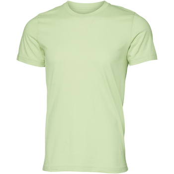 Vêtements Homme T-shirts manches courtes Bella + Canvas CA3001 Vert