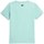 Vêtements Garçon T-shirts manches courtes 4F JTSM001 Vert