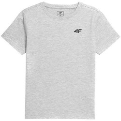 Vêtements Garçon T-shirts manches courtes 4F JTSM001 