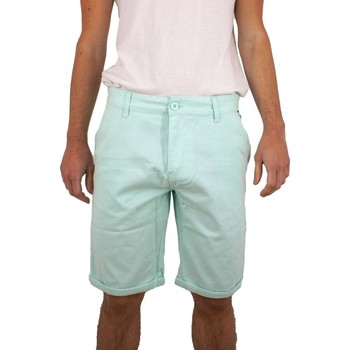 Vêtements Homme Shorts / Bermudas Torrente Basic Vert Jade