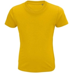 Vêtements Enfant T-shirts manches courtes Sols Crusader Multicolore