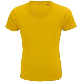 Vêtements Enfant T-shirts manches courtes Sols 3580 Multicolore