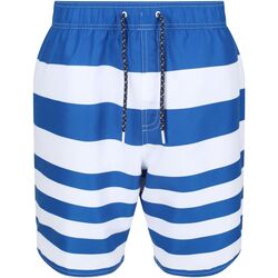 Vêtements Homme Shorts / Bermudas Regatta RG7318 Multicolore