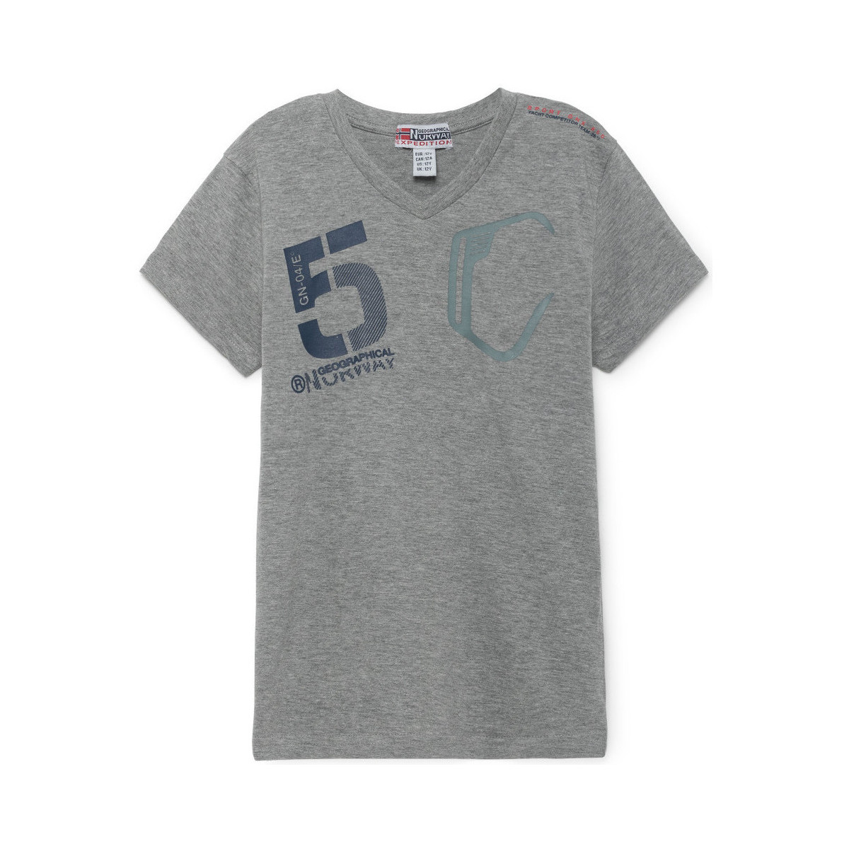 Vêtements Enfant T-shirts manches courtes Geographical Norway T-Shirt col V JAVIAR Gris