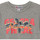 Vêtements Enfant T-shirts manches courtes Geographical Norway T-Shirt à manches courtes en coton Gris