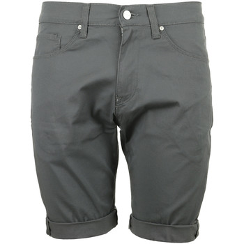 Vêtements Homme Shorts / Bermudas Carhartt Swell Short Gris