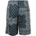Vêtements Homme Shorts / Bermudas Tommy Hilfiger Bandana Print Short Bleu