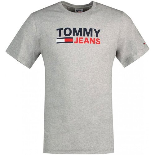 Vêtements Homme T-shirts manches courtes Tommy Jeans DM0DM15379 Gris