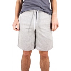 Vêtements Homme Shorts / Bermudas Torrente Bill Gris