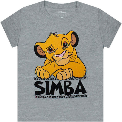 Vêtements Garçon T-shirts manches courtes The Lion King NS6748 Noir