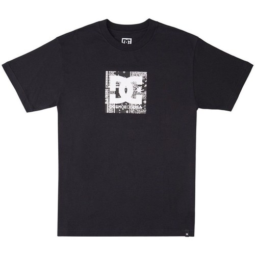 Vêtements Homme T-shirts manches courtes DC Shoes Square Star Fill Noir