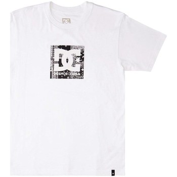 Vêtements Homme T-shirts manches courtes DC Shoes Square Star Fill Blanc