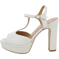 Chaussures Femme Sandales et Nu-pieds L'angolo 5753002.08_36 Blanc