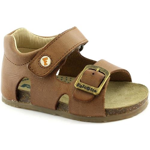 Chaussures Enfant Sandales et Nu-pieds Naturino FAL-CCC-0737-CU Marron