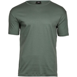 Vêtements Homme T-shirts manches courtes Tee Jays Interlock Vert
