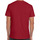 Vêtements Homme T-shirts rund manches longues Gildan GD01 Rouge