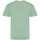Vêtements Homme T-shirts manches longues Awdis The 100 Vert