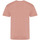 Vêtements Homme T-shirts manches longues Awdis The 100 Rouge