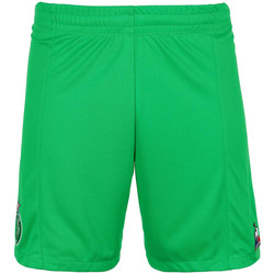 Vêtements Garçon Shorts / Bermudas Le Coq Sportif 2120290 Vert