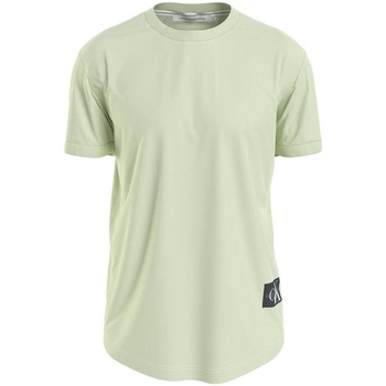 Vêtements Homme T-shirts & Polos Calvin Klein Jeans T Shirt Homme  Ref 55999 l99 Vert Vert