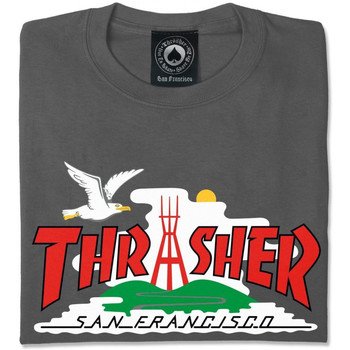 Thrasher T-shirt the city Gris