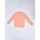 Vêtements Homme x Champion embroidered-logo cotton hoodie Sweat-Shirt 1920009 Orange