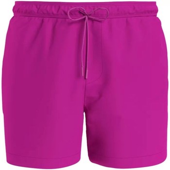 Vêtements Homme Shorts / Bermudas Calvin Klein JEANS baroque KM0KM00700 Violet