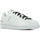 Chaussures Femme Baskets mode adidas alpha Originals Superstar Blanc