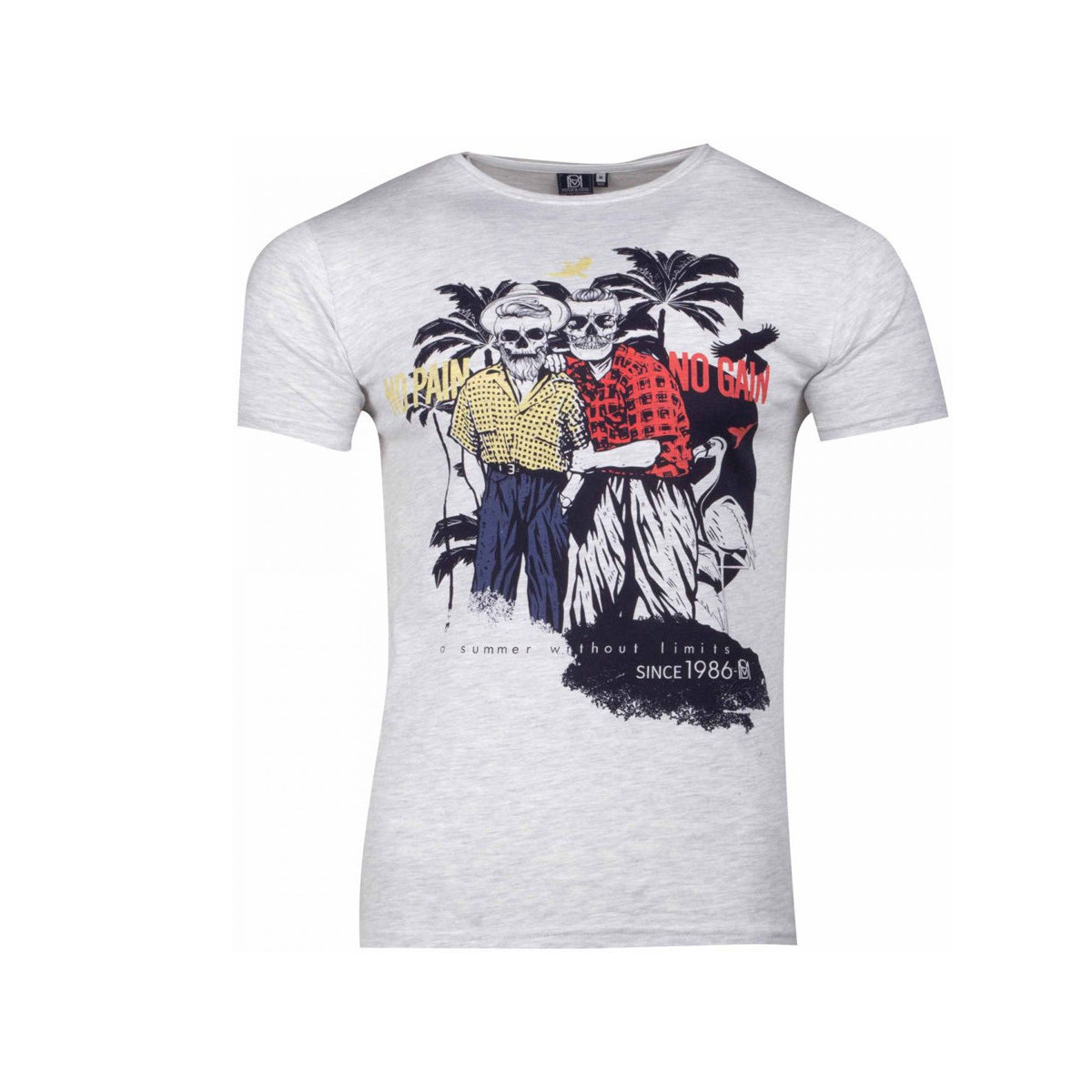 Vêtements Homme T-shirts manches courtes La Maison Blaggio MB-MCQUEEN Gris