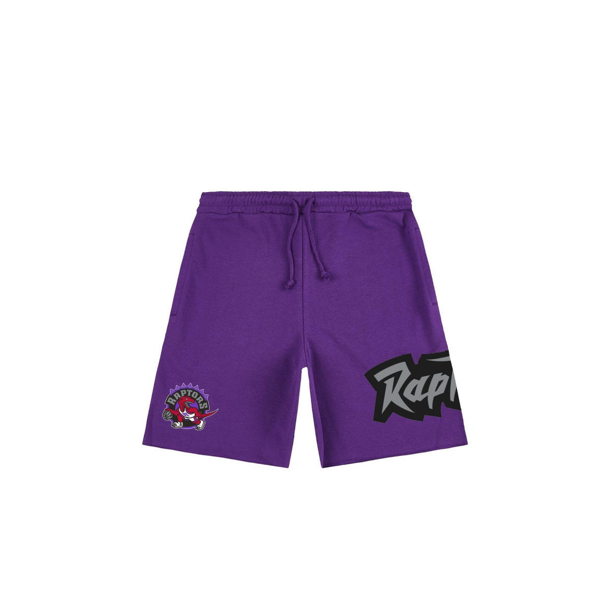 Vêtements Shorts / Bermudas Mitchell And Ness Short NBA Toronto Raptors Mitc Multicolore