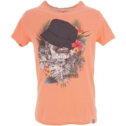 Vêtements Homme T-shirts manches courtes La Maison Blaggio Mebano corail mc tee Orange