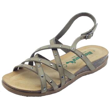 Chaussures Femme Sandales et Nu-pieds Bionatura 34A2249B Gaucho Oil Beige
