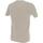 Vêtements Homme T-shirts manches courtes Teddy Smith Jurgen bge dune mc tee Beige