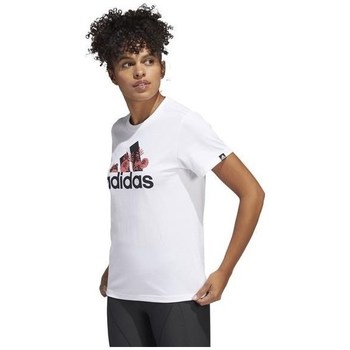 Vêtements Femme T-shirts manches courtes adidas Originals Iwd GT Blanc