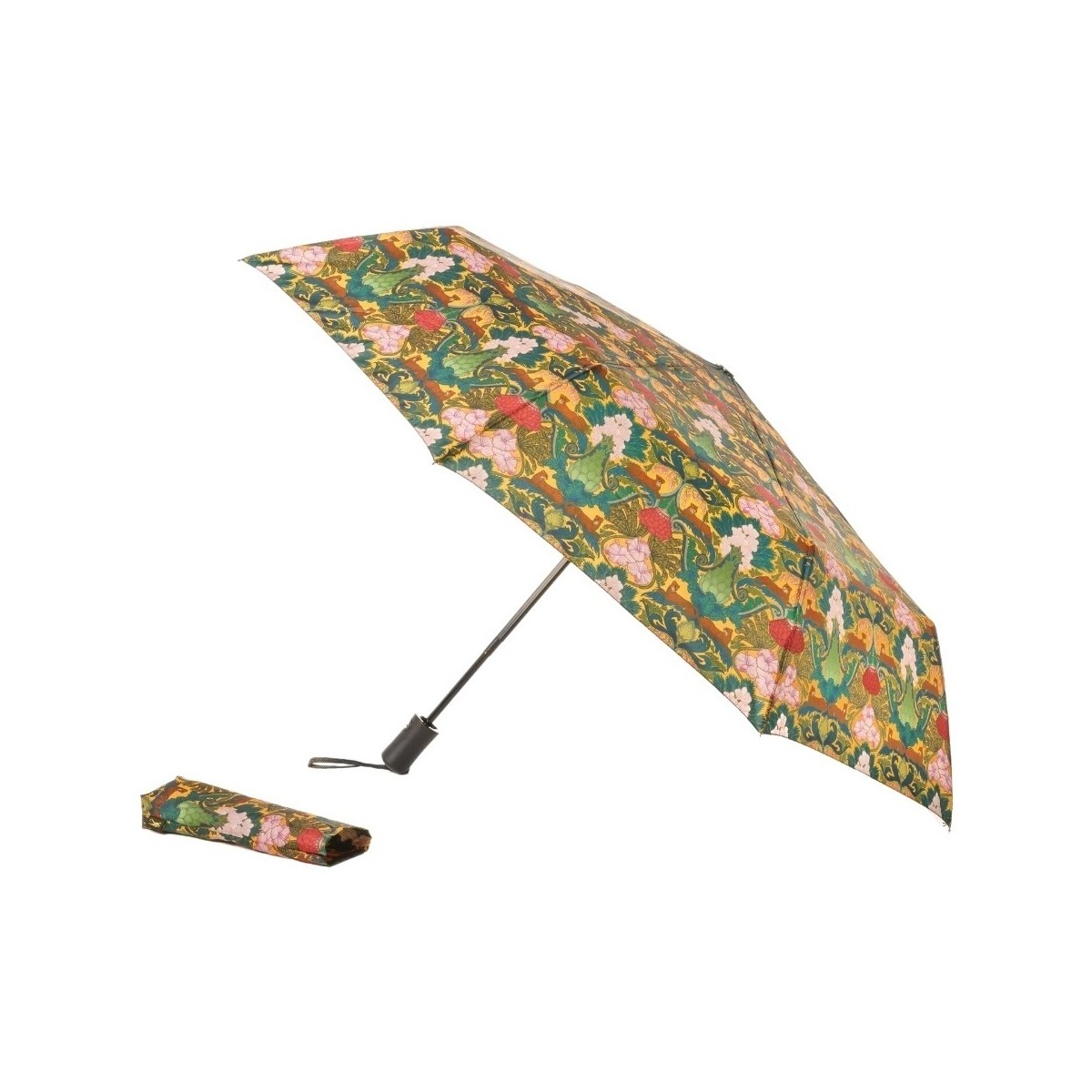 Accessoires textile Femme Parapluies Laurence Llewelyn-Bowen GS204 Vert